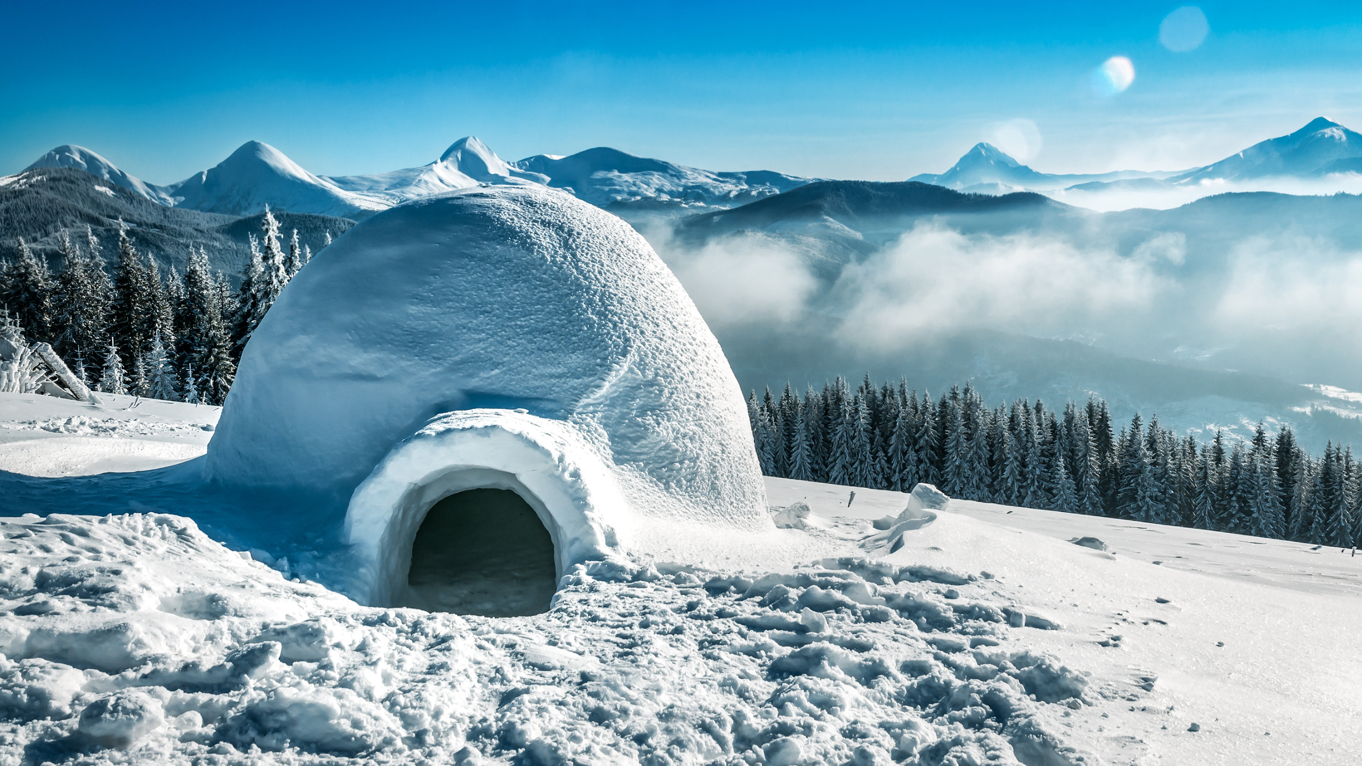 Untitled design56582