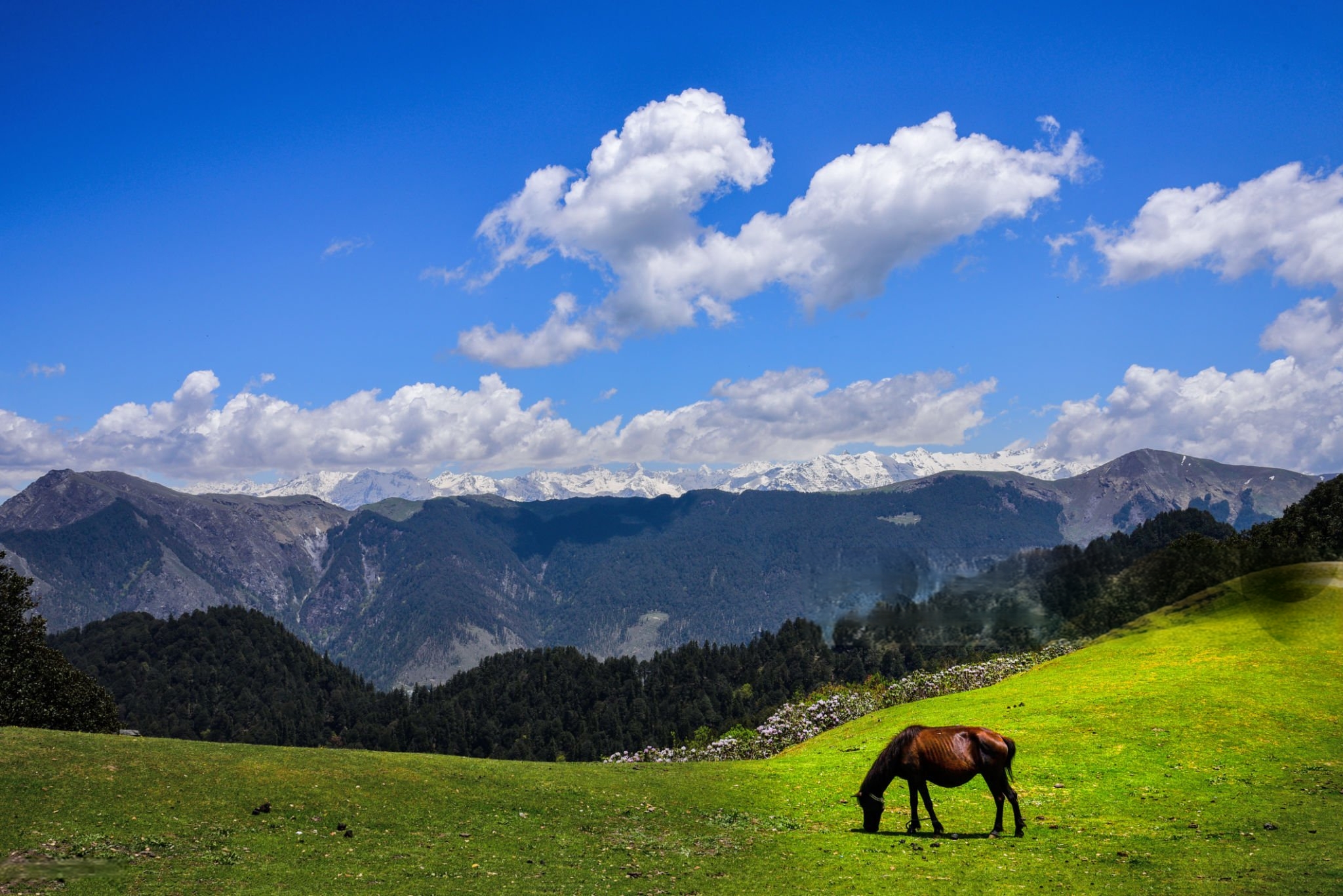 wmremove-transformed (5)