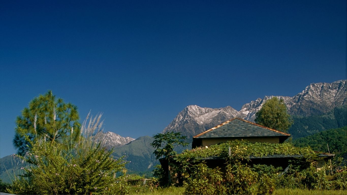 kangra 1