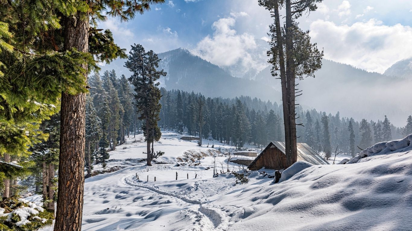 kashmir 3